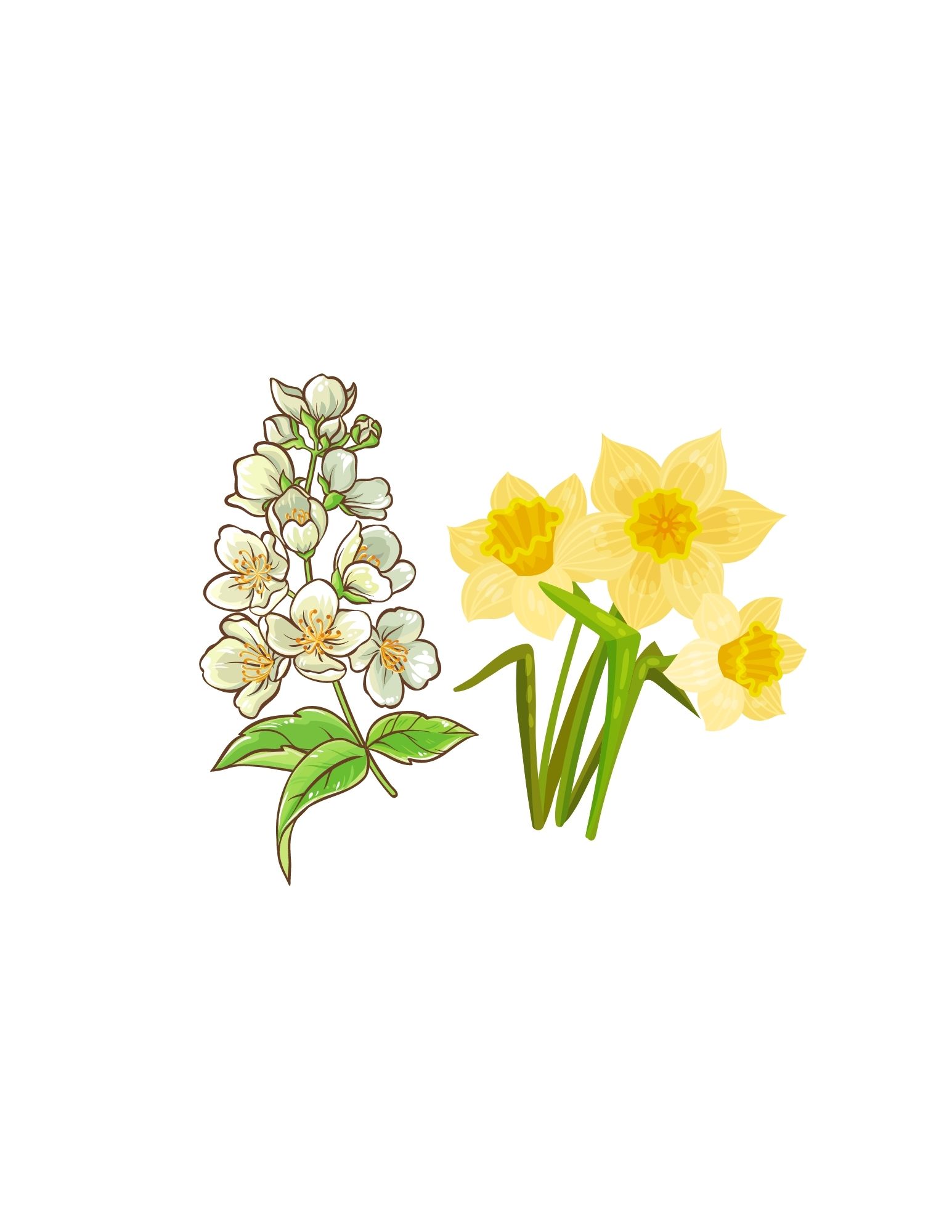 Je veux et j’exige du jasmin et des jonquilles.