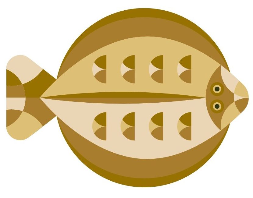 La sole rissole dans la casserole.