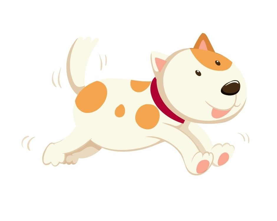 Cinq chiens chassent six chats.