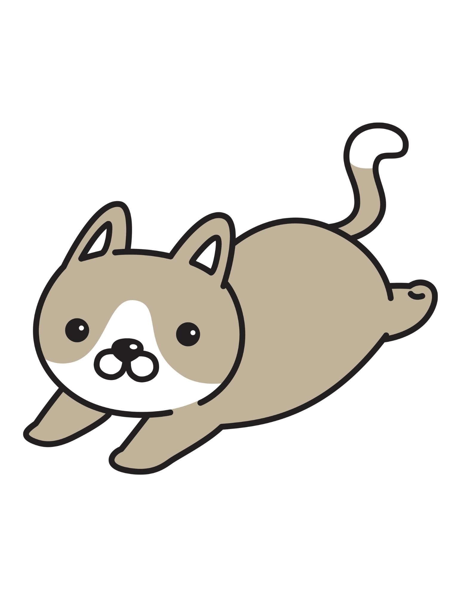 Le chat sauvage se sauve. 