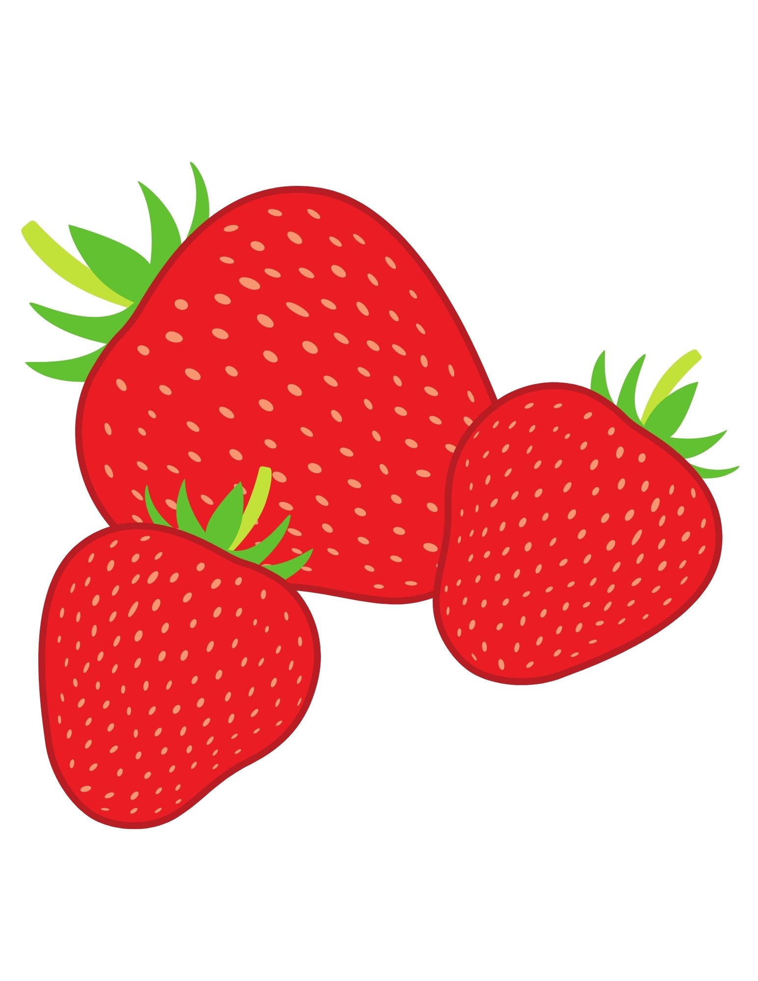 Treize fraises fraîches.