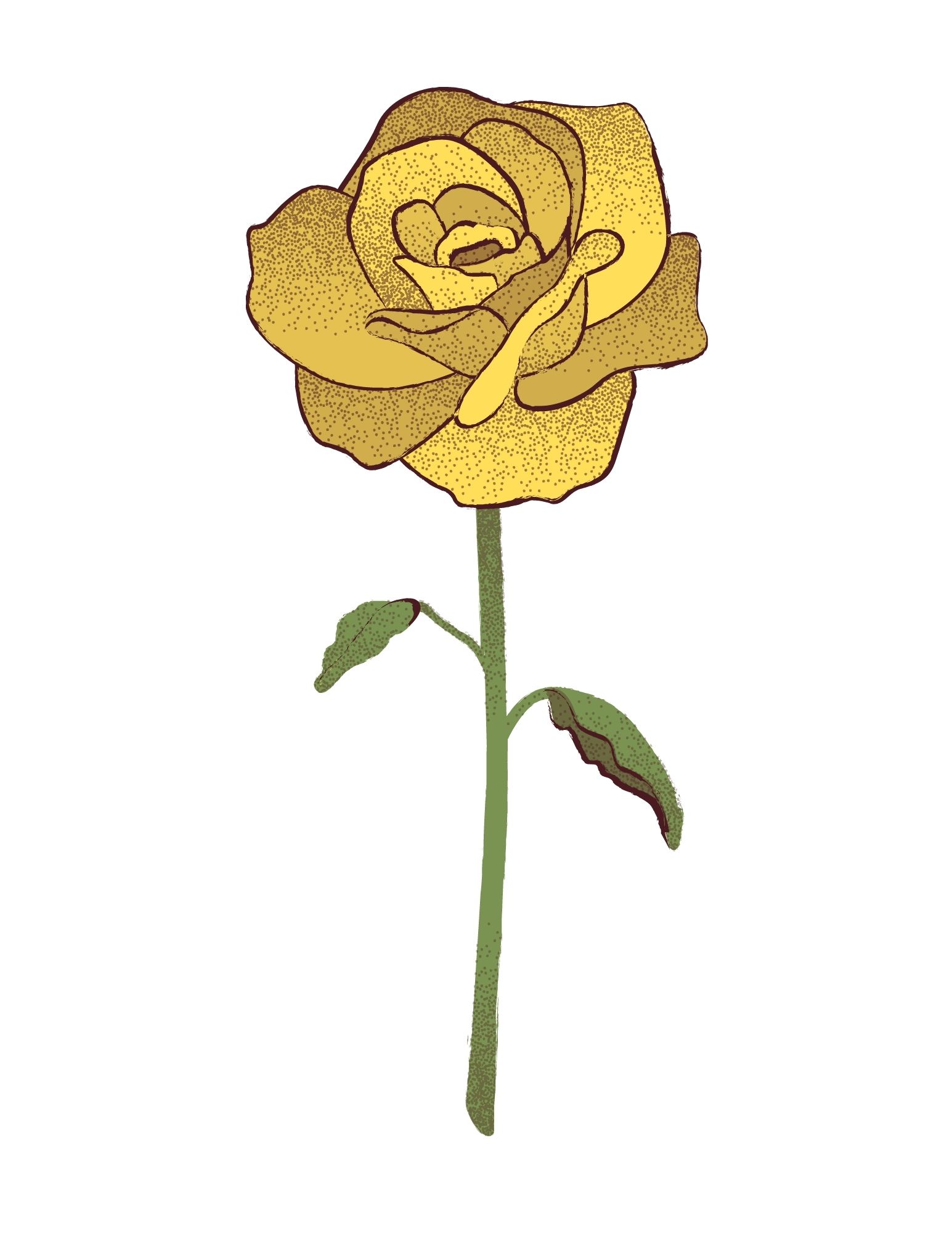 La jolie rose jaune.